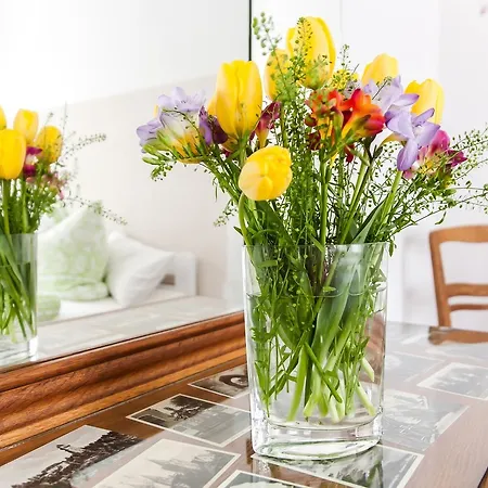 Apartment Helianthus *